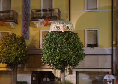 Civetta gigante, legno e albero